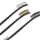 AP Brushes