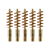 5-Pack