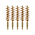 5-Pack