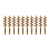 10-Pack