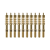 10-Pack