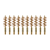 10-Pack