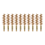 10-Pack