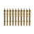 10-Pack