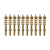 10-Pack