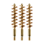 3-Pack