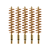 5-Pack