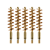 5-Pack