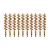 10-Pack